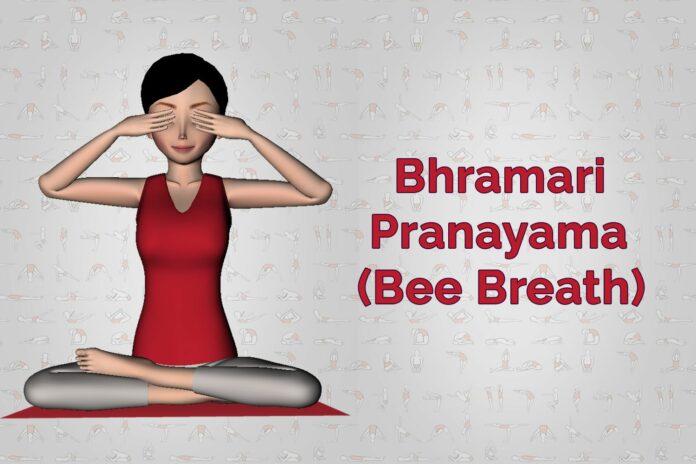 How many steps are there in Pranayam?
