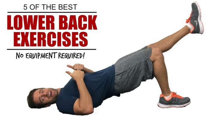 What are the five 5 exercises for strengthening the lower back?