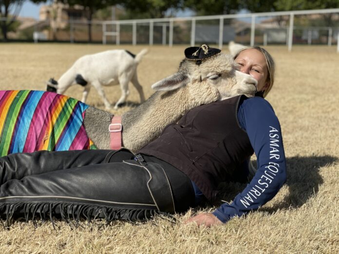 Is goat yoga unsanitary?