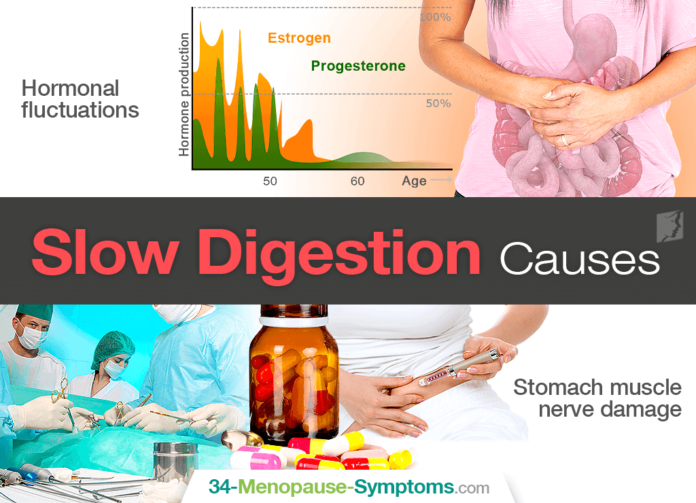 What drink helps in digestion?