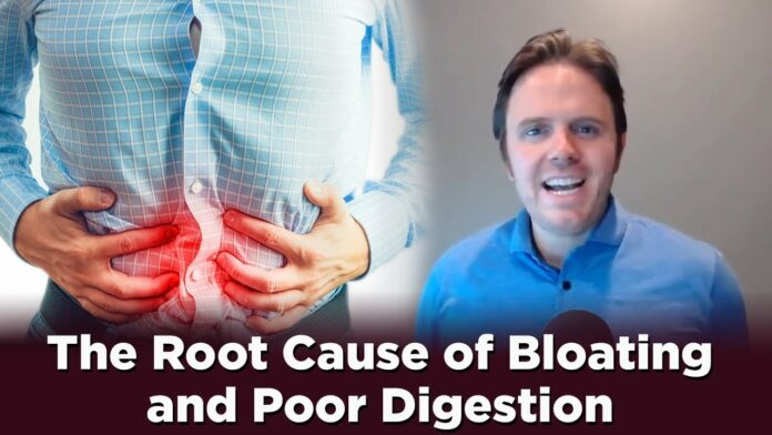 What are the 5 diseases of the digestive system?