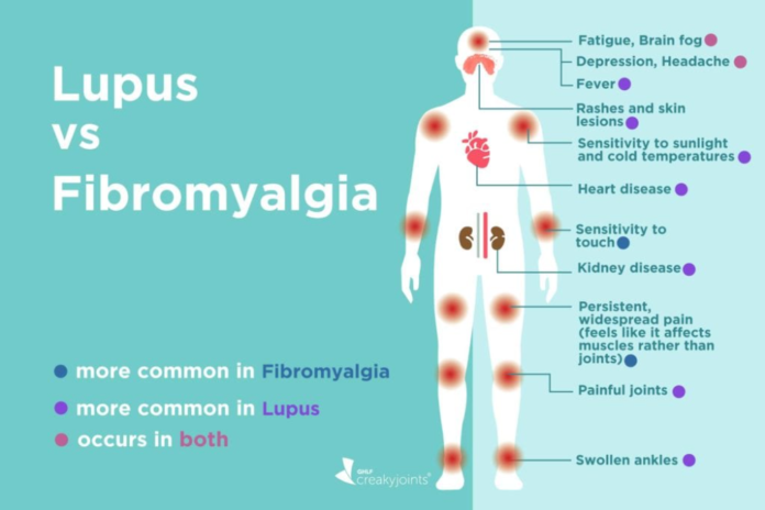 Does fibromyalgia show up in blood tests?