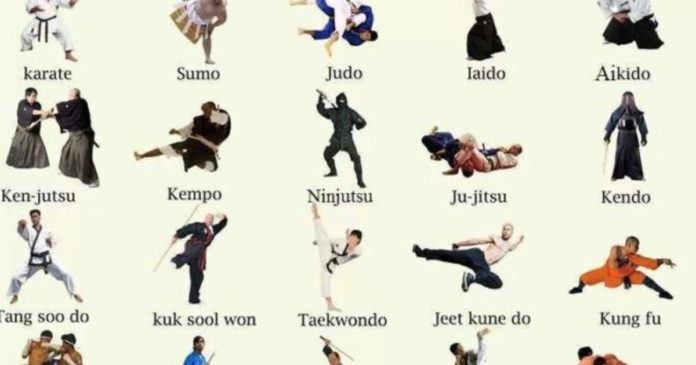 Which is the mother of all martial arts?